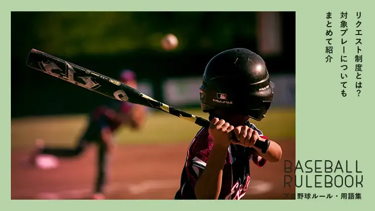 プロ野球用語解説 リクエスト制度とは 対象プレーなどのルールは グラスタ