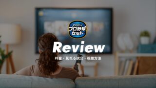 スカパー！プロ野球セット徹底レビュー｜料金・見れる試合・視聴方法まとめ