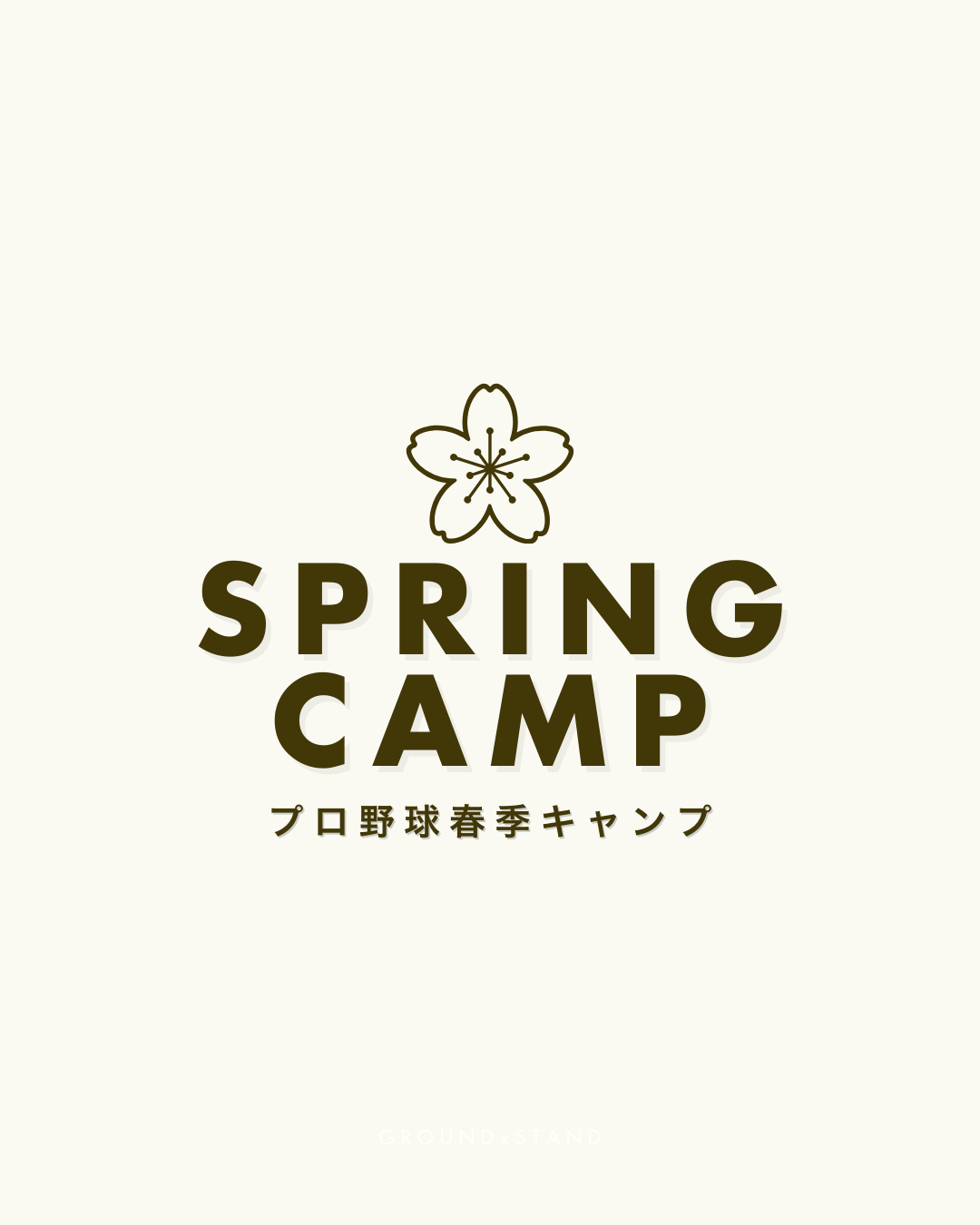 【2025年】プロ野球春季キャンプ完全ガイド｜日程やメンバー、中継予定など12球団別に徹底解説【沖縄/宮崎】