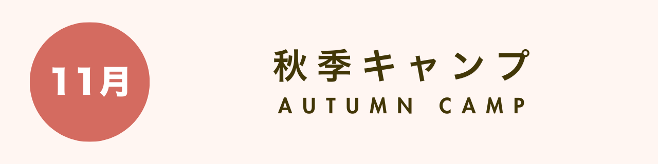 プロ野球の1年間【グラスタ】